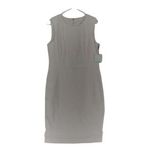 Calvin Klein Pale Pink Sheath Sleeveless Dress Size 10P  W1047